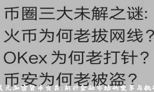 美元加密货币交易:新兴金融市场的变革与挑战