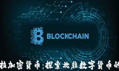 
撒哈拉加密货币：探索北非数字货币的未来