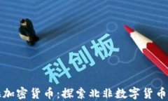 撒哈拉加密货币：探索北非数字货币的未来