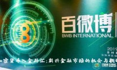 加密货币入金外汇：新兴金融市场的机会与挑战