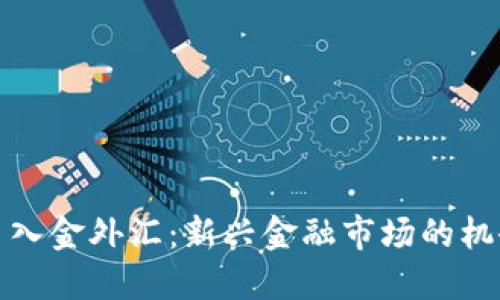 加密货币入金外汇：新兴金融市场的机会与挑战
