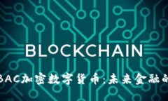 深入探讨BAC加密数字货币：未来金融的创新之路