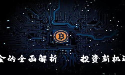 货币加密基金的全面解析——投资新机遇与风险分析