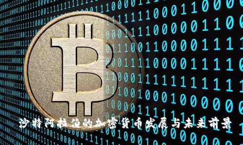  沙特阿拉伯的加密货币发展与未来前景