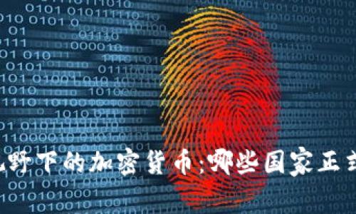 国际视野下的加密货币：哪些国家正式承认？