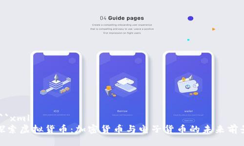 ```xml
探索虚拟货币：加密货币与电子货币的未来前景