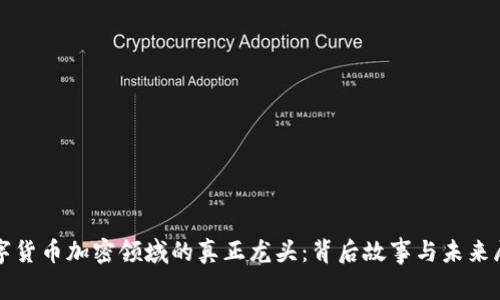 数字货币加密领域的真正龙头：背后故事与未来展望