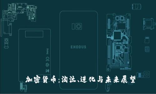  加密货币：淘汰、进化与未来展望
