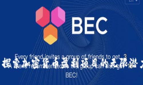  探索加密货币盈利项目的无限潜力