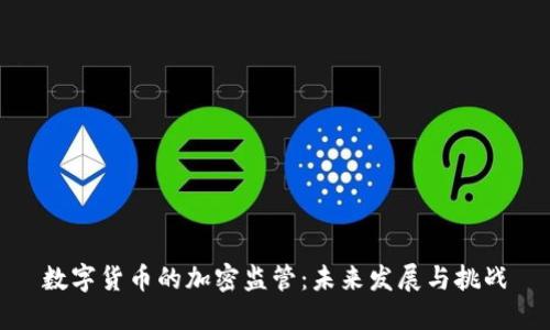数字货币的加密监管：未来发展与挑战
