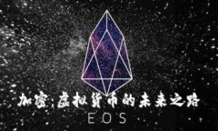 加密：虚拟货币的未来之路