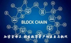 加密货币王：探索数字资产的未来与挑战