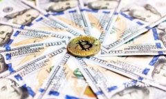 加密货币资产管理基础：投资、风险与策略