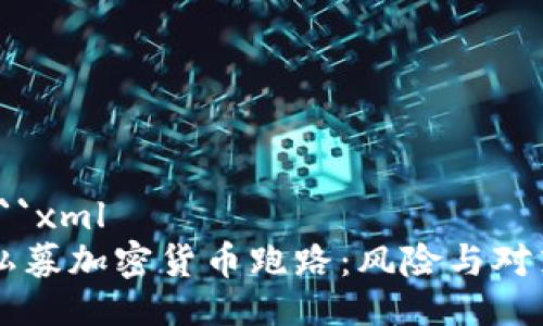 ```xml
私募加密货币跑路：风险与对策