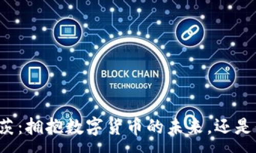 :
比尔·盖茨：拥抱数字货币的未来，还是保持谨慎？