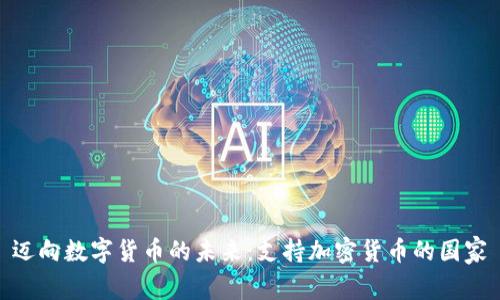 迈向数字货币的未来：支持加密货币的国家