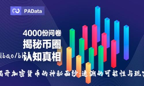 bibao/bibao

揭开加密货币的神秘面纱：追溯的可能性与现实