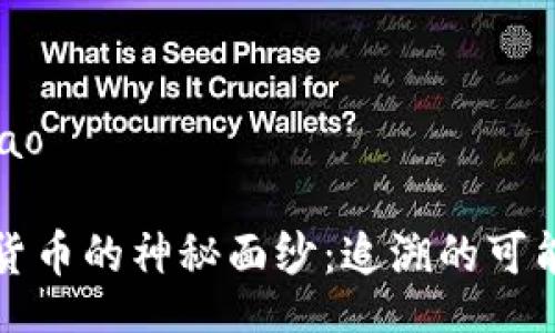 bibao/bibao

揭开加密货币的神秘面纱：追溯的可能性与现实