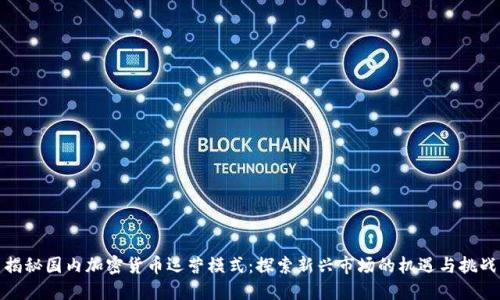 揭秘国内加密货币运营模式：探索新兴市场的机遇与挑战