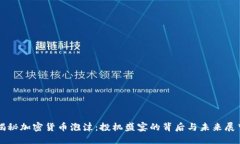 揭秘加密货币泡沫：投机盛宴的背后与未来展望