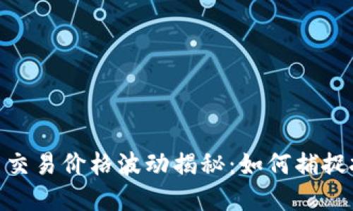 加密货币交易价格波动揭秘：如何捕捉投资机会