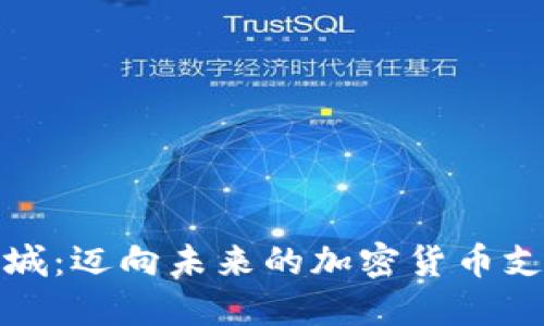 小米商城：迈向未来的加密货币支付之旅