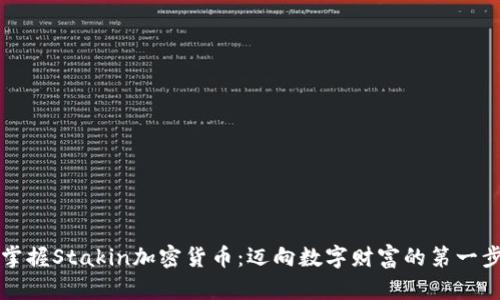 掌握Stakin加密货币：迈向数字财富的第一步