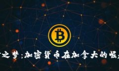 探秘枫叶之梦：加密货币在加拿大的崛起与机遇