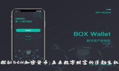 探秘BCH加密货币：未来数字财富的蓬勃生机