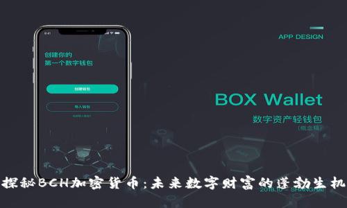 探秘BCH加密货币：未来数字财富的蓬勃生机