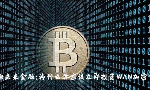 拥抱未来金融：为什么你应该立即投资WAN加密货币