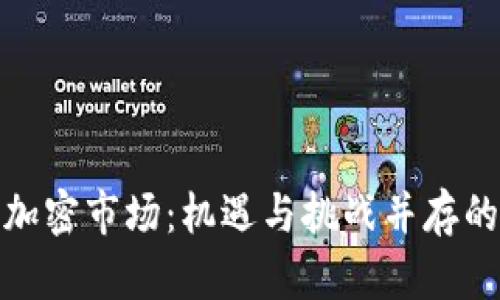 探索德国货币加密市场：机遇与挑战并存的数字经济之旅