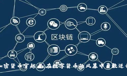 加密货币穿越者：在数字货币的风暴中勇敢逆行