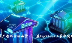 揭开加密货币广告的神秘面纱——在Facebook上获取