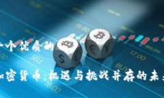 思考一个优质的纵观加密货币：机遇与挑战并存