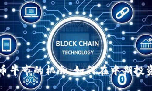 抓住加密货币牛市的机会：如何在中期投资中脱颖而出