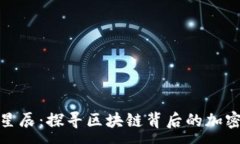 :从晨曦到星辰：探寻区块链背后的加密货币之旅