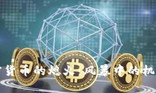 美国加密货币的熄火：风暴中的机遇与挑战