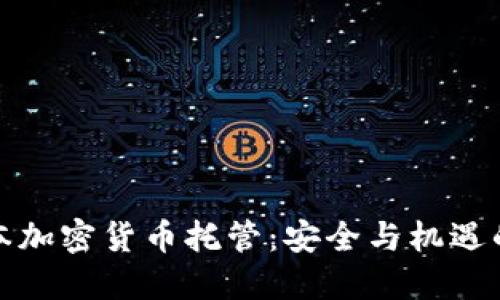 探索日本加密货币托管：安全与机遇的交汇点