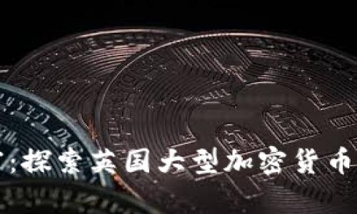 解锁未来财富：探索英国大型加密货币的机会与挑战