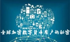 揭秘全球加密数字货币用户的秘密世界
