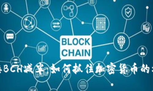 迎接BCH减半：如何抓住加密货币的机会