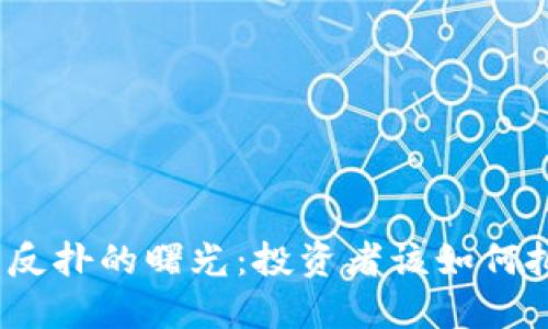 加密货币反扑的曙光：投资者该如何把握机会？