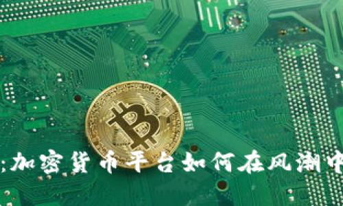 解密融资：加密货币平台如何在风潮中吸引资本