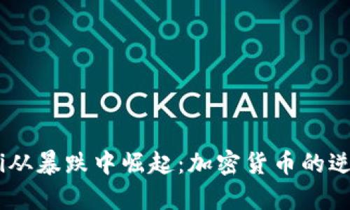 b iaoti从暴跌中崛起：加密货币的逆袭之路