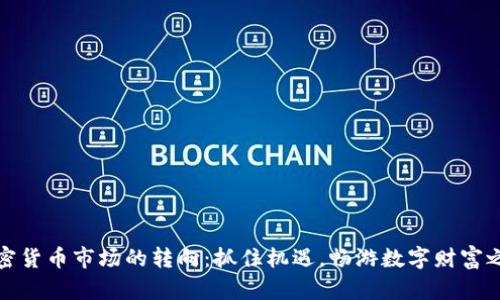 加密货币市场的转向：抓住机遇，畅游数字财富之海