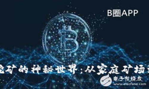 揭秘加密货币挖矿的神秘世界：从家庭矿场到全球算力巨头
