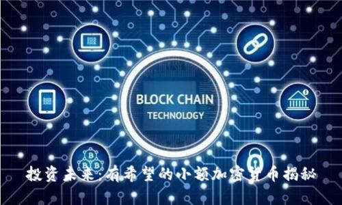 投资未来：有希望的小额加密货币揭秘