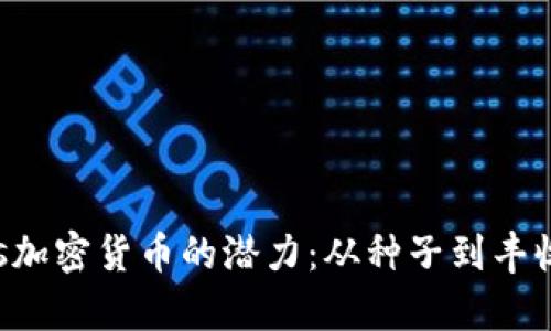 探寻Sprouts加密货币的潜力：从种子到丰收的数字之路