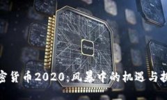 加密货币2020：风暴中的机遇与挑战